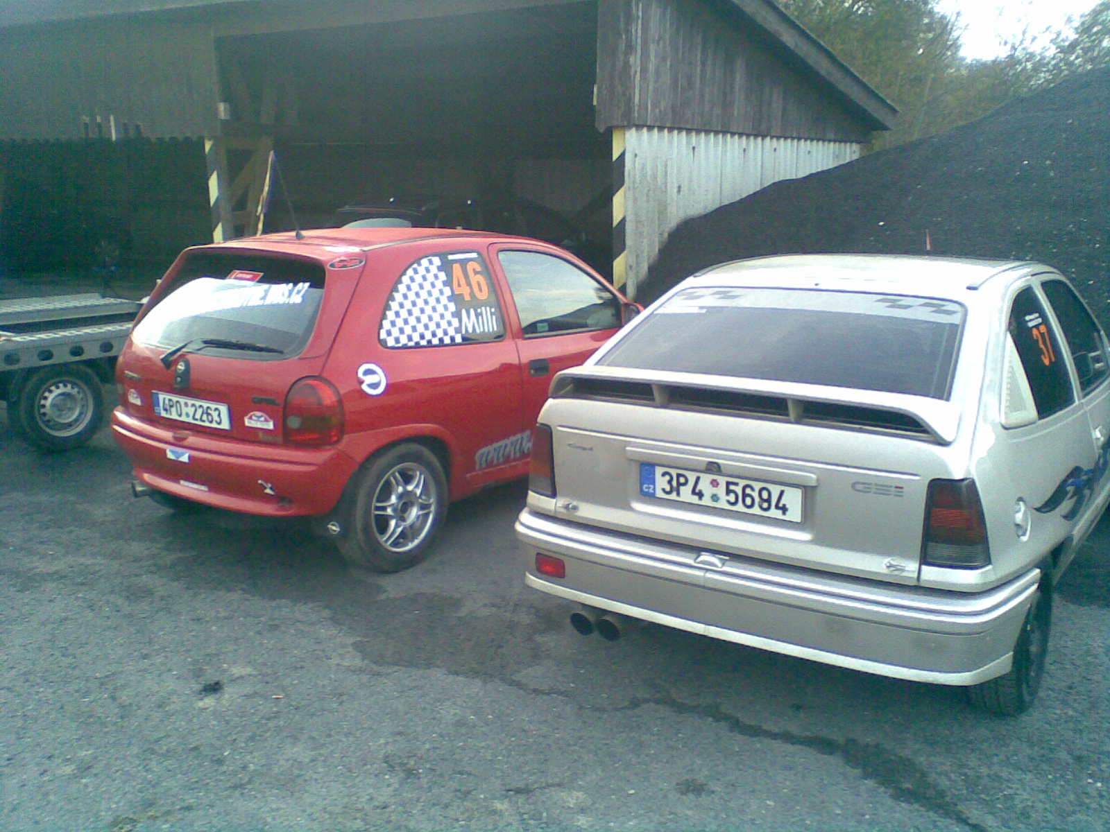 koně 003.jpg