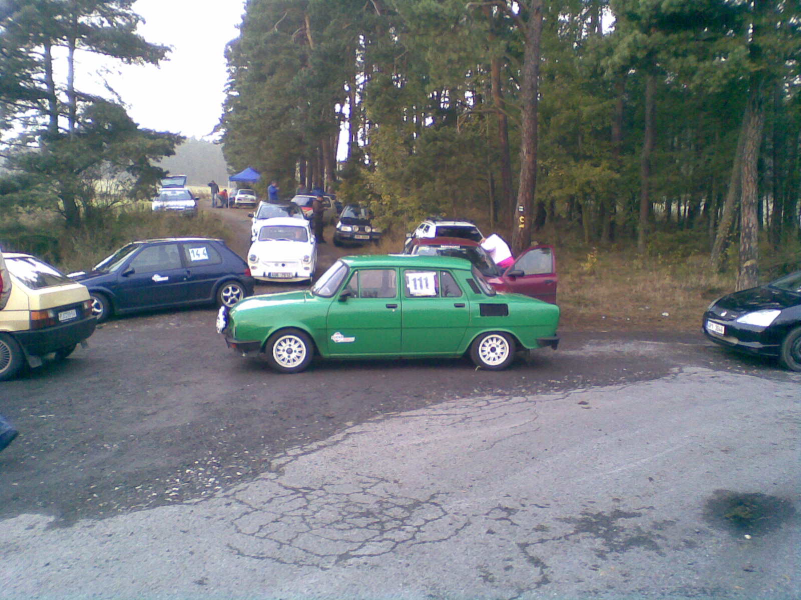 koně 015.jpg