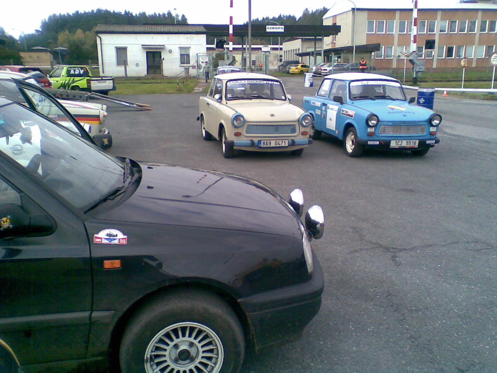 koně 024.jpg